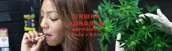 spice Краснослободск