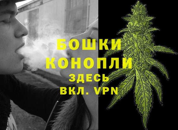 spice Краснослободск