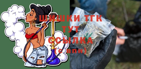 spice Краснослободск