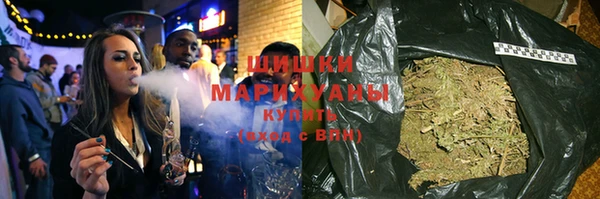 ГАЛЛЮЦИНОГЕННЫЕ ГРИБЫ Корсаков