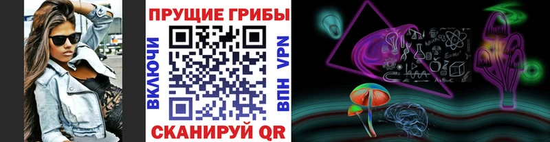 где продают наркотики  Кирсанов  Псилоцибиновые грибы мицелий 